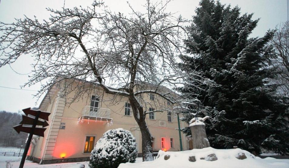 Gosciniec Jas -Sniadania I Obiadokolacje Szwedzki Stol W Cenie Bezplatny Parking Schreiberhau Exterior foto